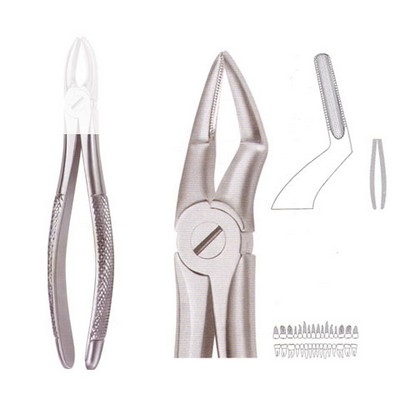 Extracting Forceps